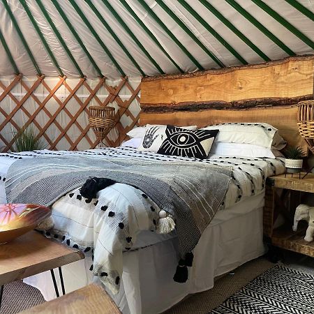 Готель O Dan Y Coed Luxury Yurt With Hot Tub Chwilog Екстер'єр фото